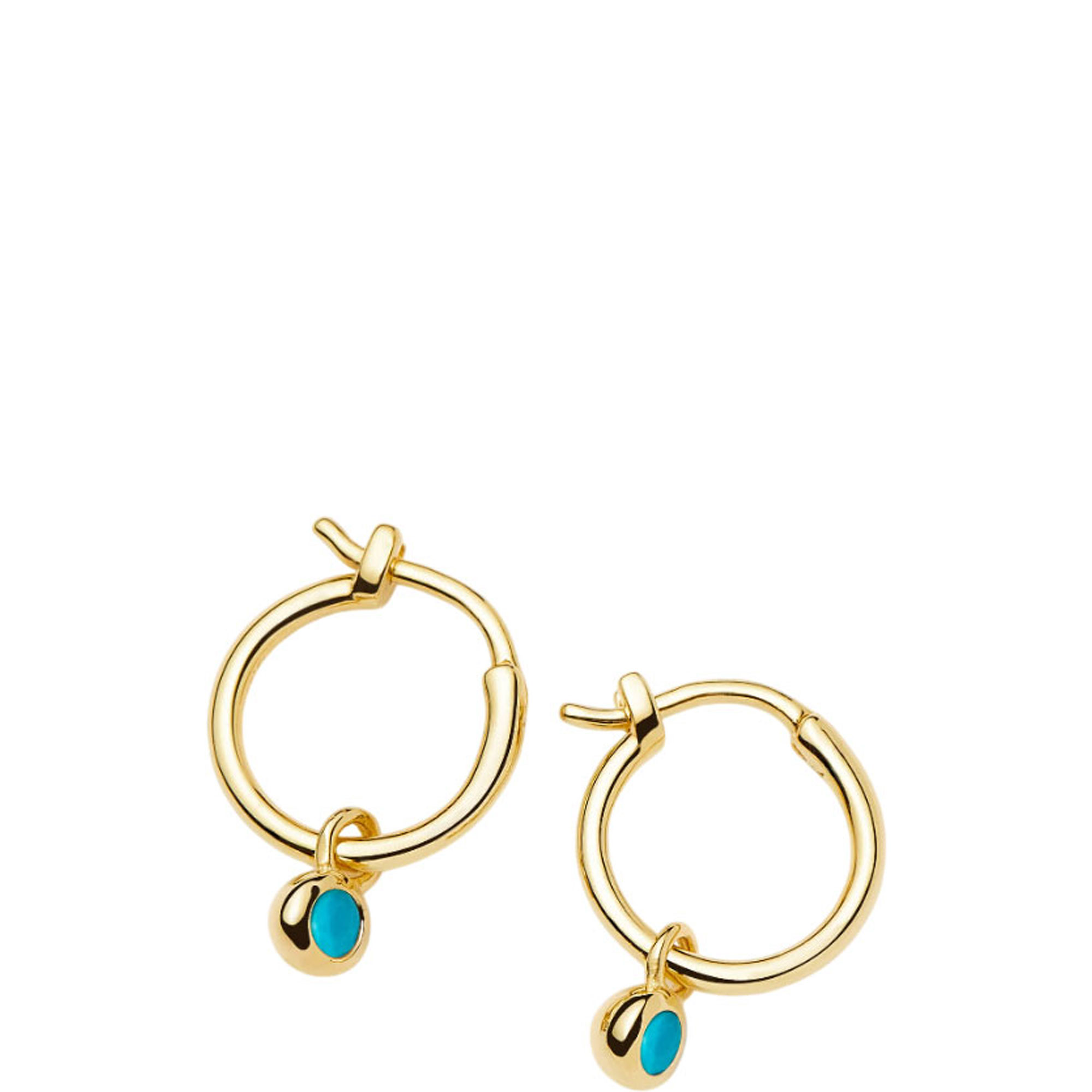 December Birthstone Mini Charm Hoop Earrings