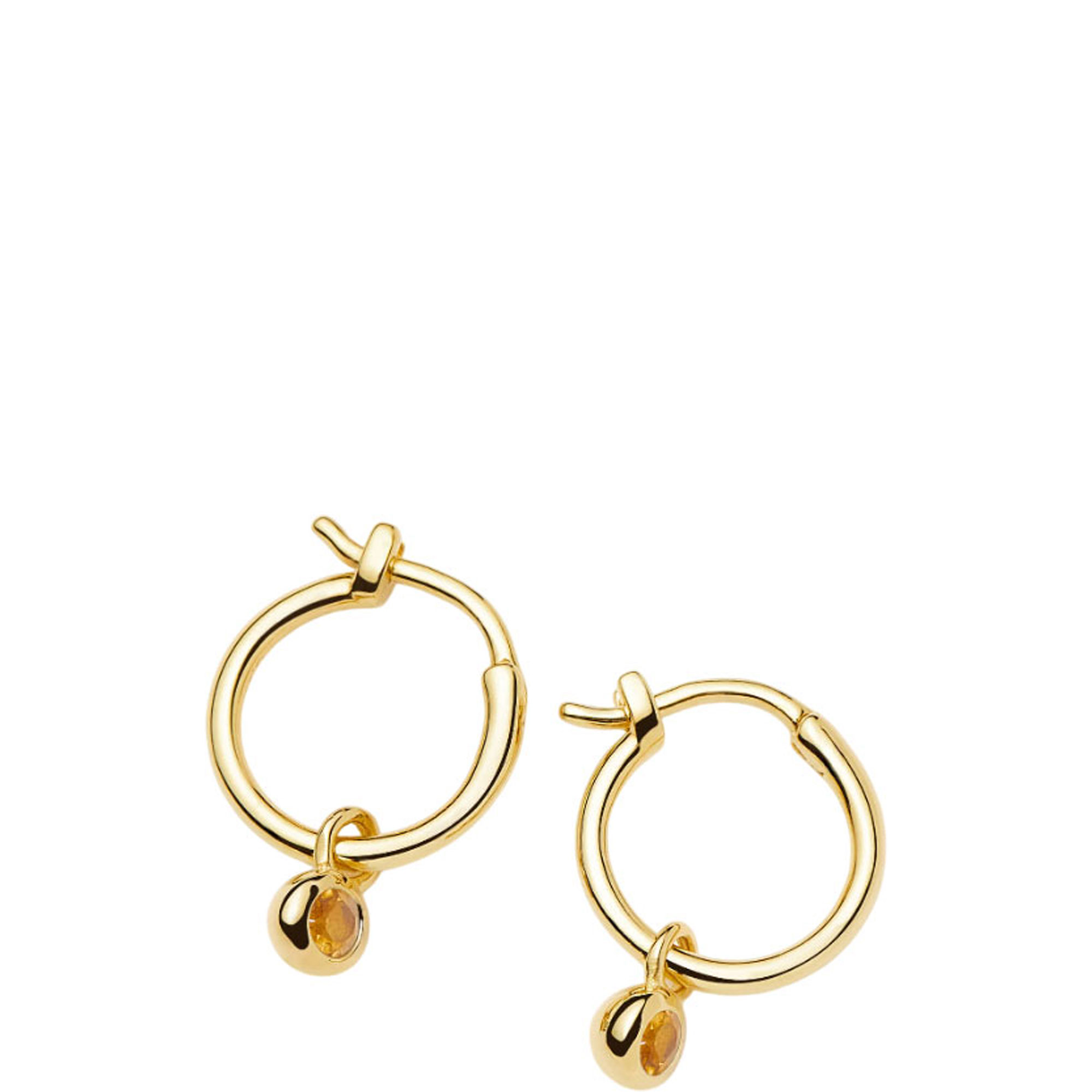 November Birthstone Mini Charm Hoop Earrings