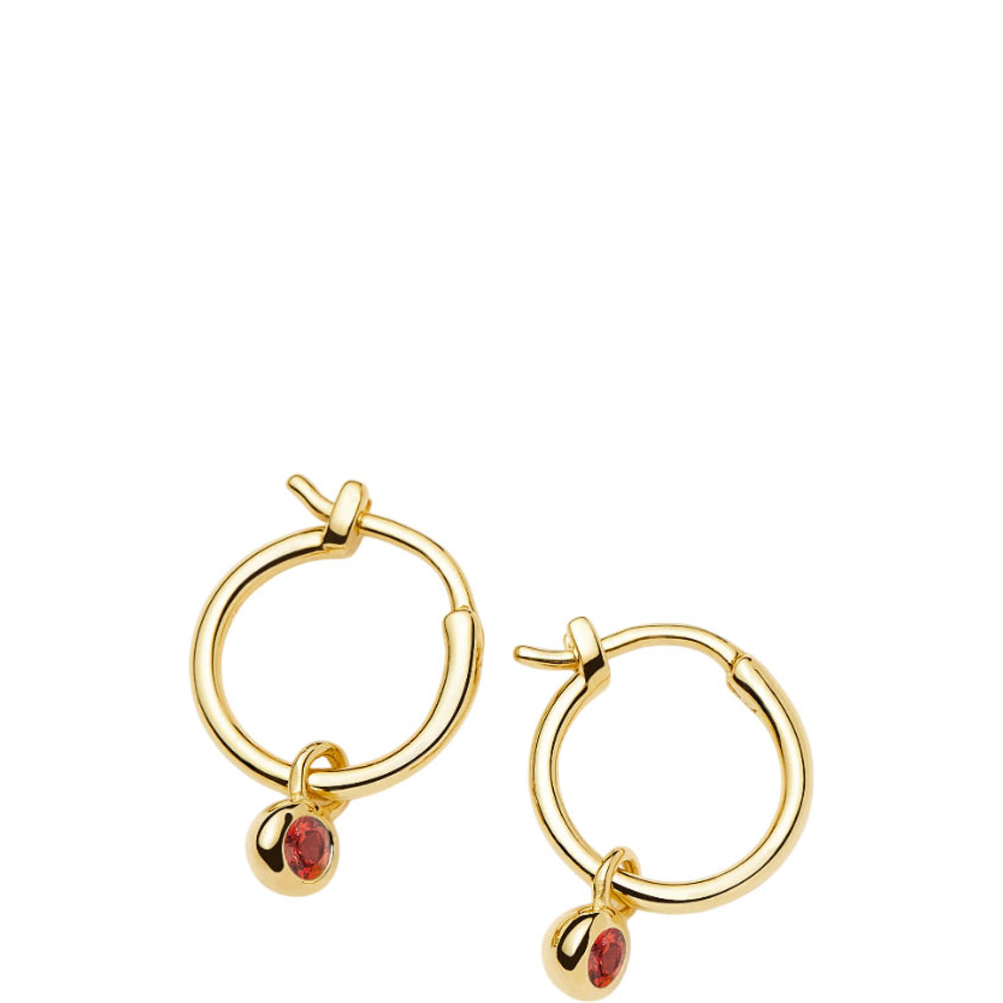 January Birthstone Mini Charm Hoop Earrings