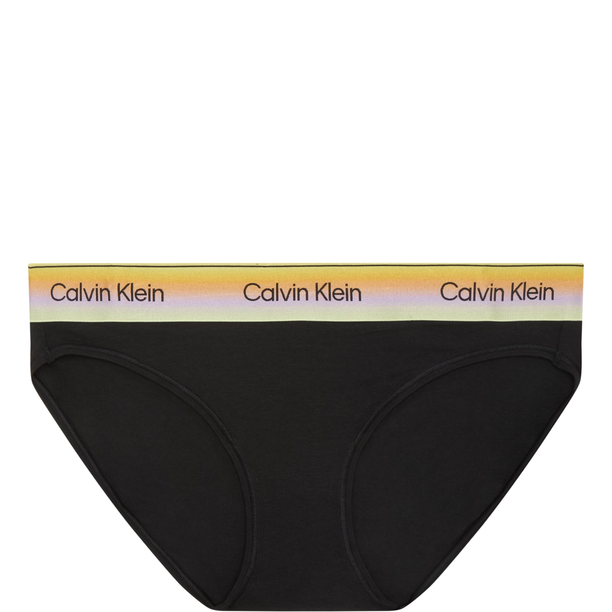 Icon Logo Pride Briefs