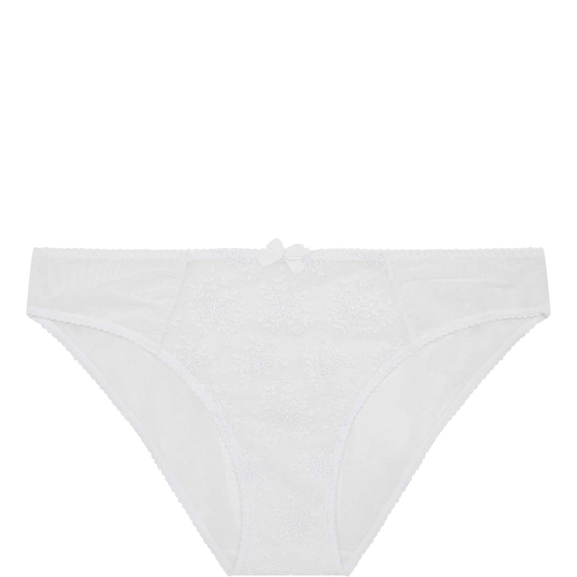 Charlotte Embroidered Briefs