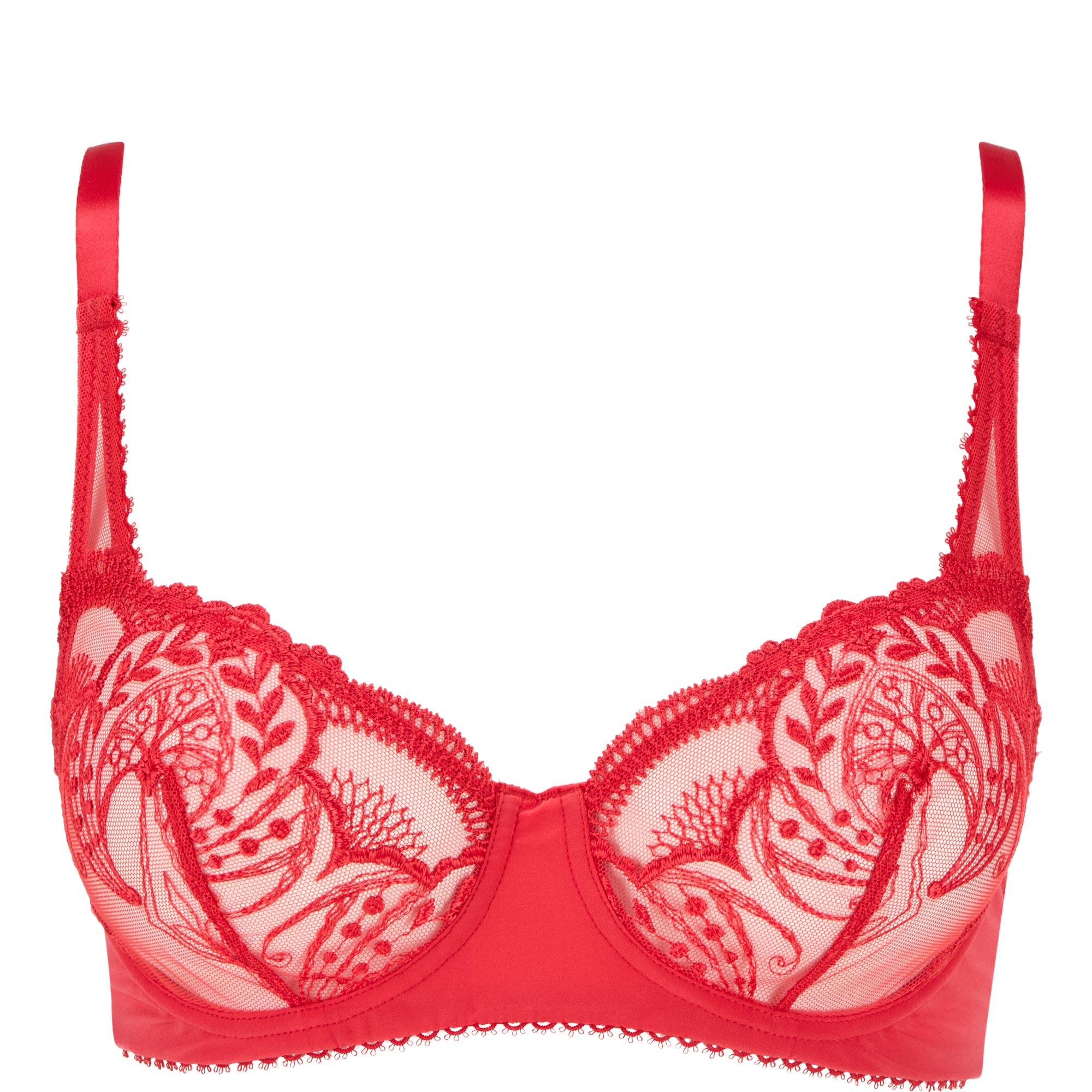 Poesie Embroidered Underwired Bra