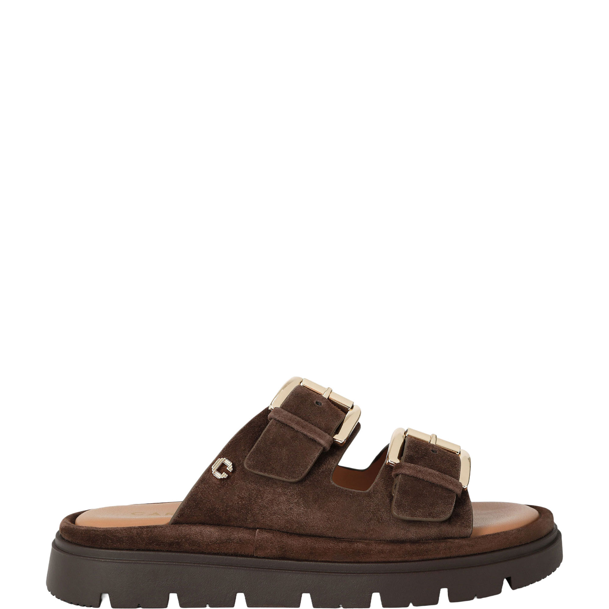 Pavilion Buckle Slides