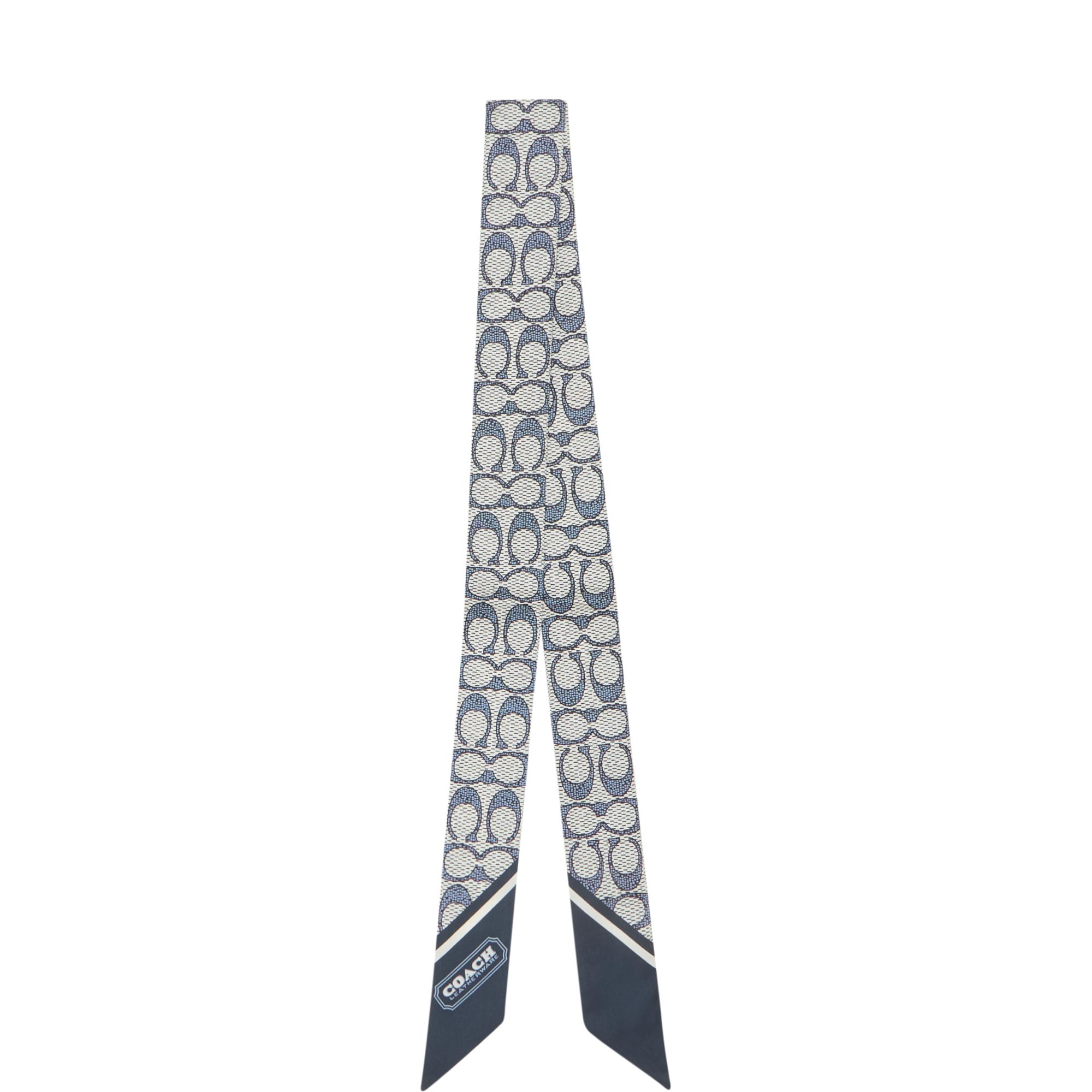 Textured C Monogram Skinny Scarf