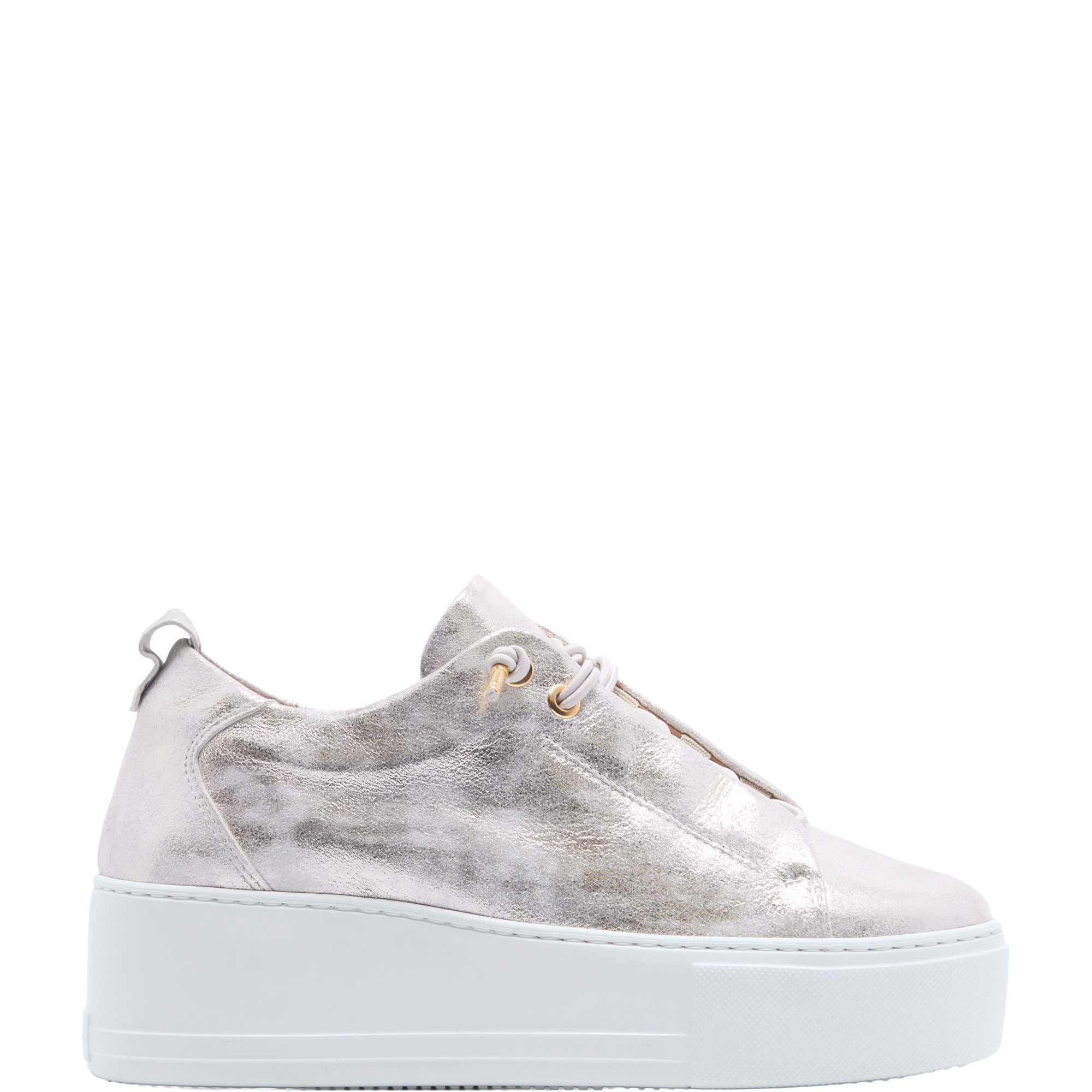 Raya Platform Trainers