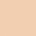 Skin Glow Foundation