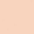 Skin Glow Foundation