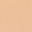Skin Glow Foundation
