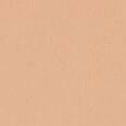 Skin Glow Foundation