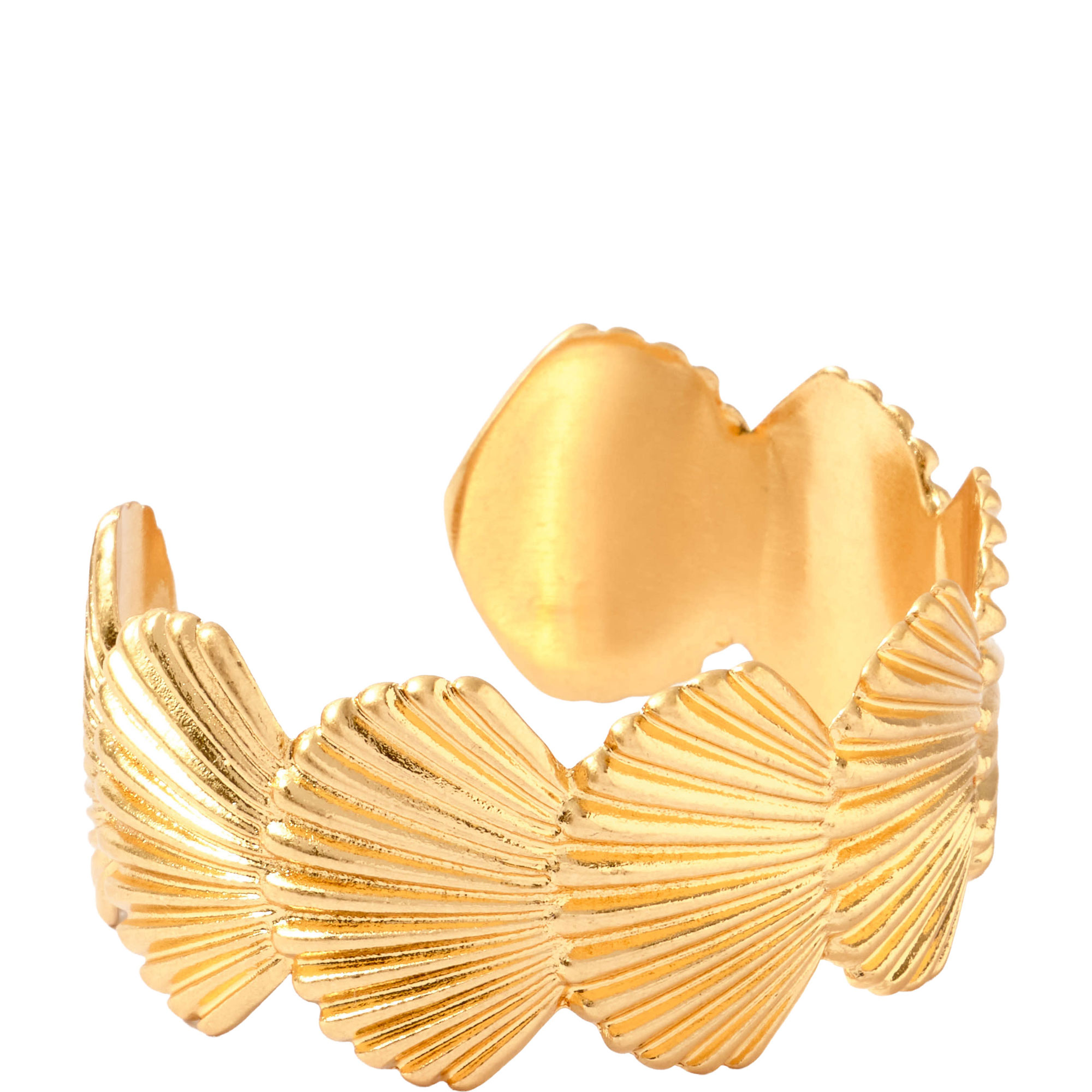 Shell Open Cuff Bracelet