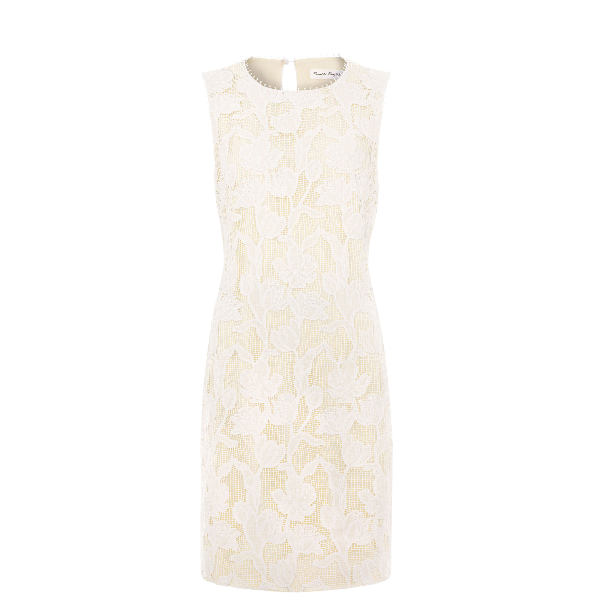 Bryony Lace Mini Dress