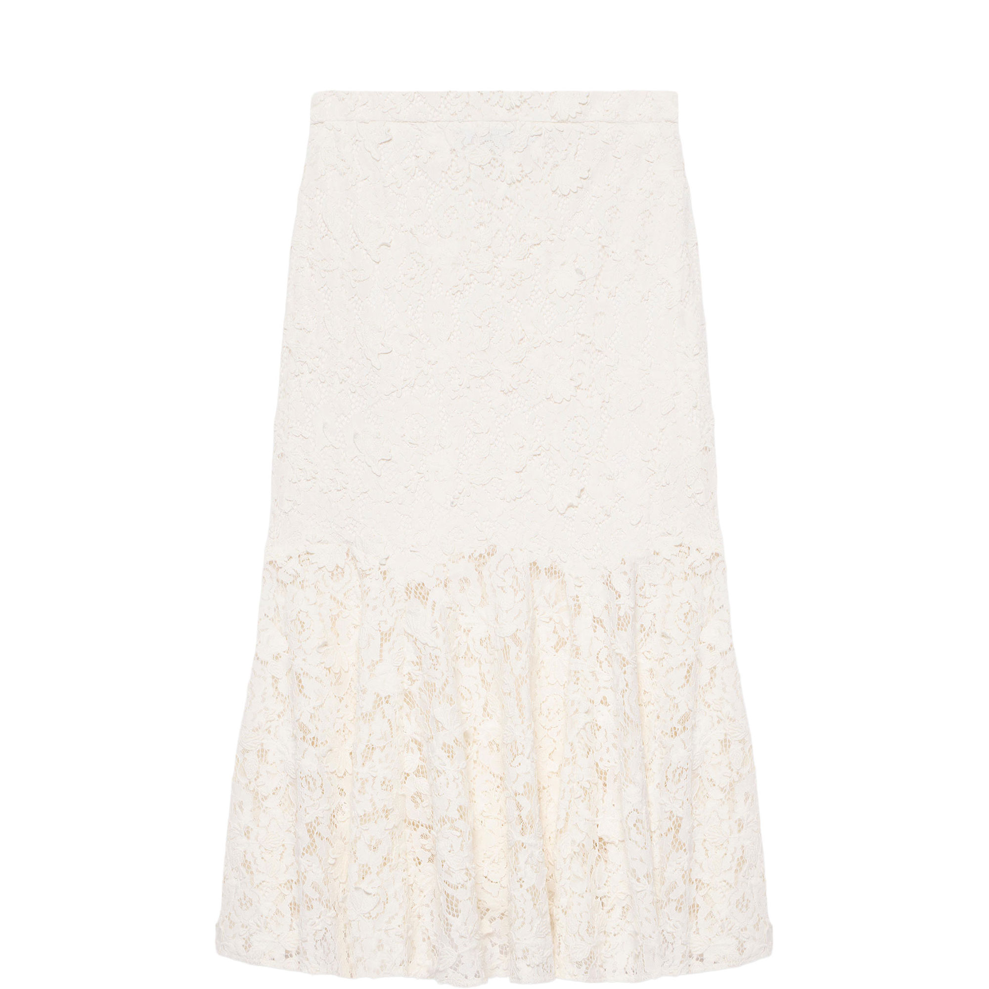 Sheer Lace Flared Skirt