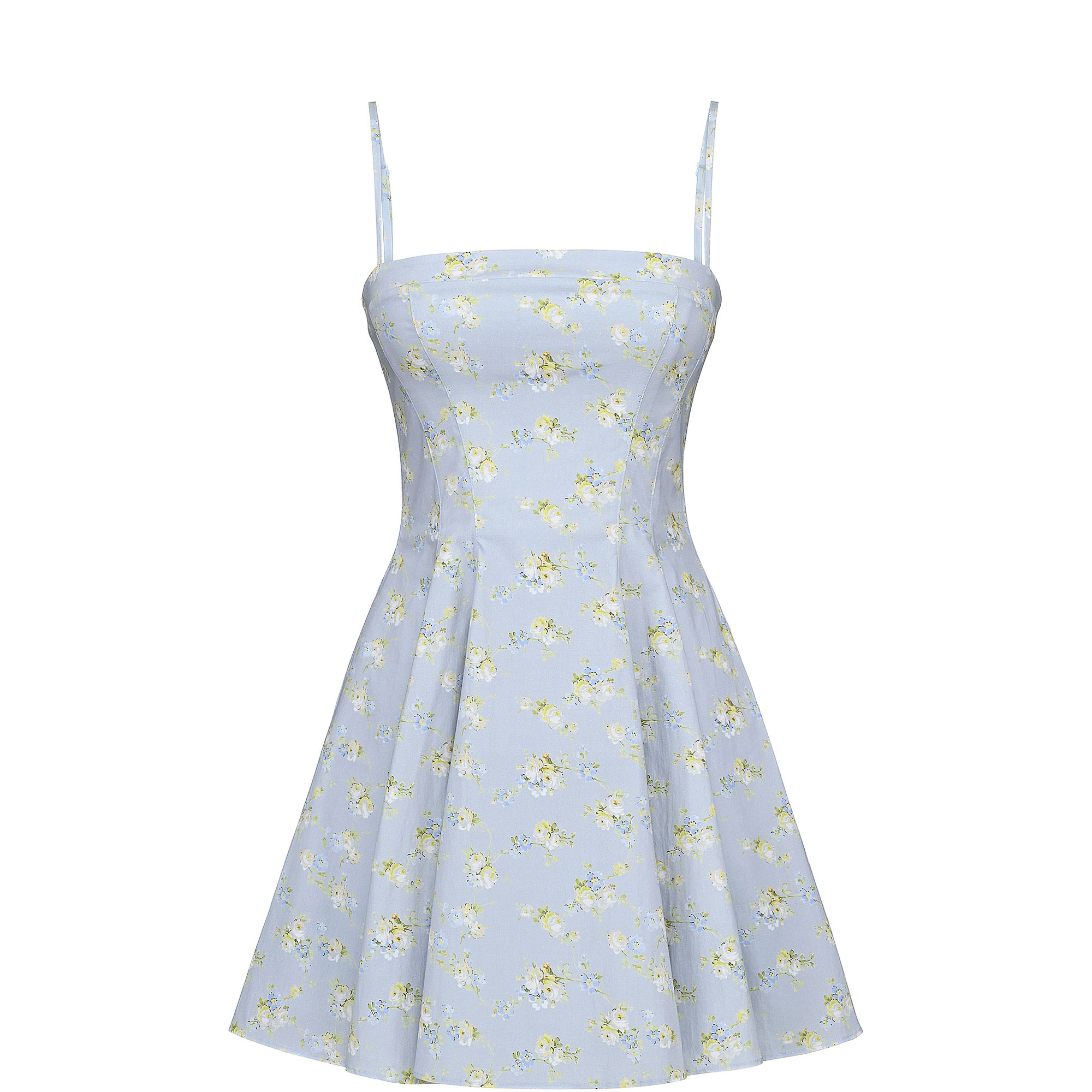 Dolly Floral Print Mini Sundress