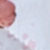 Multi