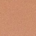Tanning Compact Foundation SPF10
