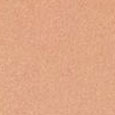 Tanning Compact Foundation SPF10
