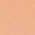 Tanning Compact Foundation SPF10
