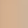 Precisely My Brow Pencil Duo