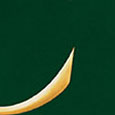 SH1