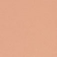 Serum Silk Foundation