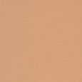 Serum Silk Foundation