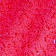Lip Glass Air Limited-Edition Lip Gloss