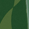 SH1