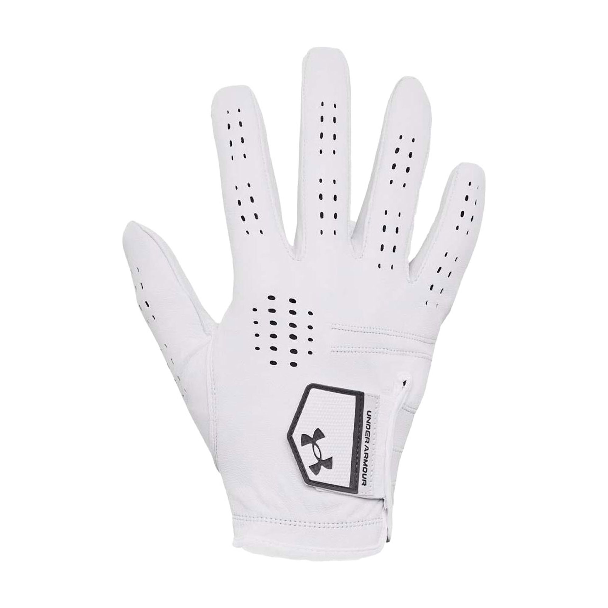 Under Armour Tour Golf Gloves Right Hand
