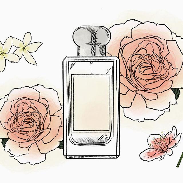 perfume
