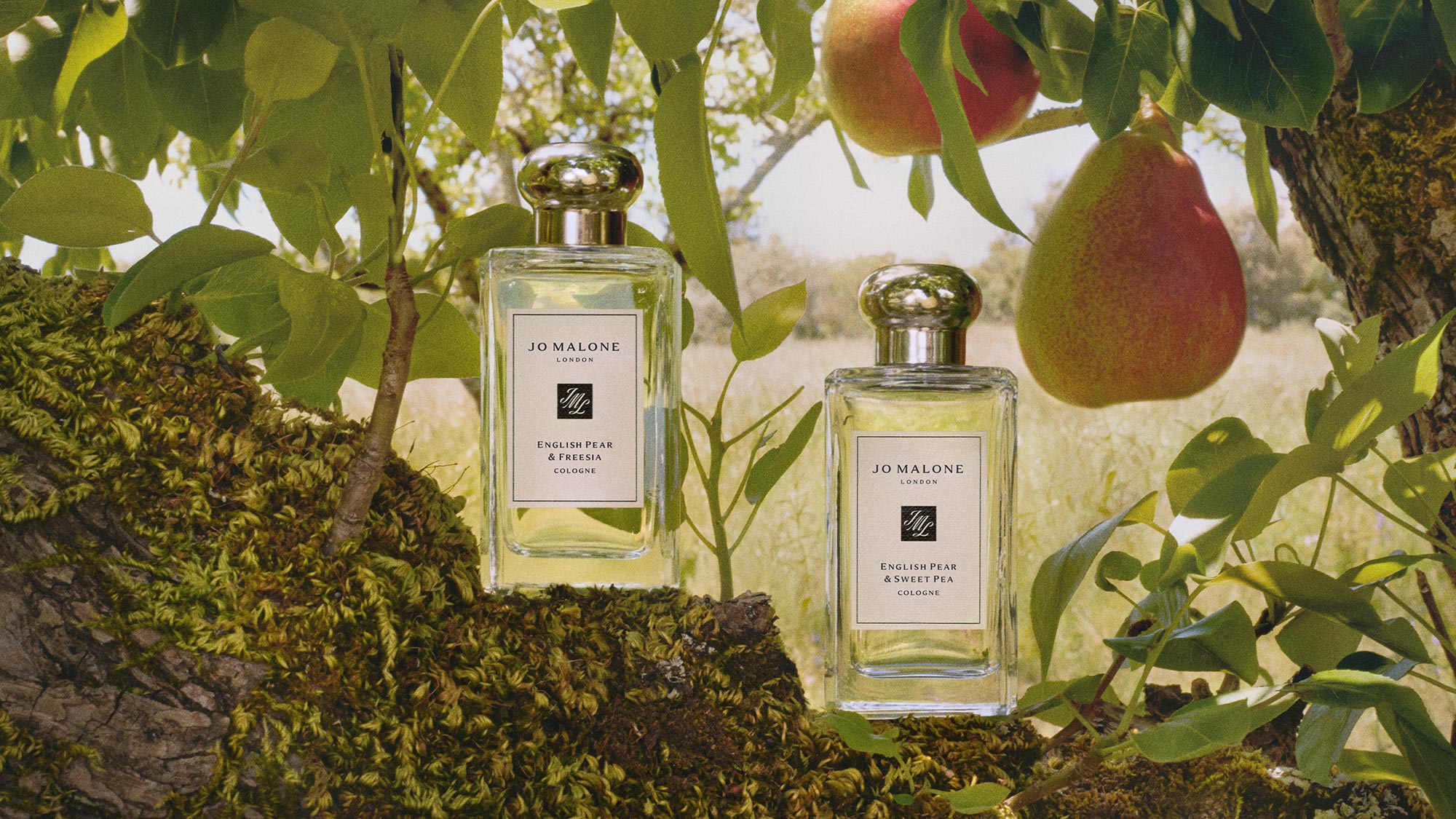 Two Jo Malone perfume bottles on a mossy branch surrounded by pears and green leaves.