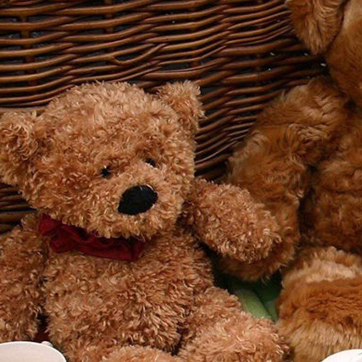 Invite your fluffy friends to a teddy bear's picnic gathering with teddies and soft toys seated in a circle.