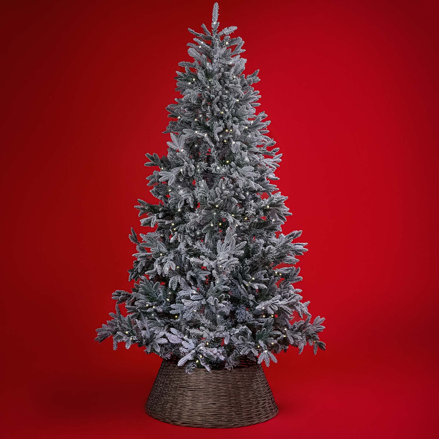 A Tree To Remember