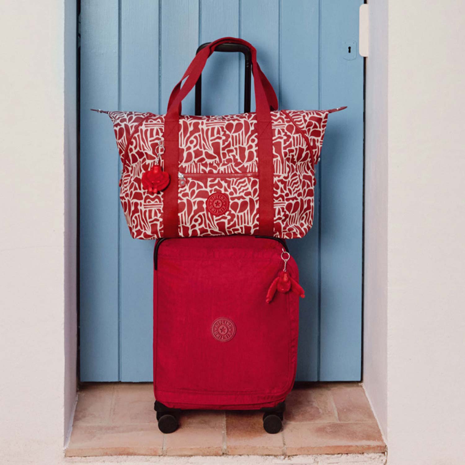 Luggage buying guide showcasing quality suitcases for travel and adventures