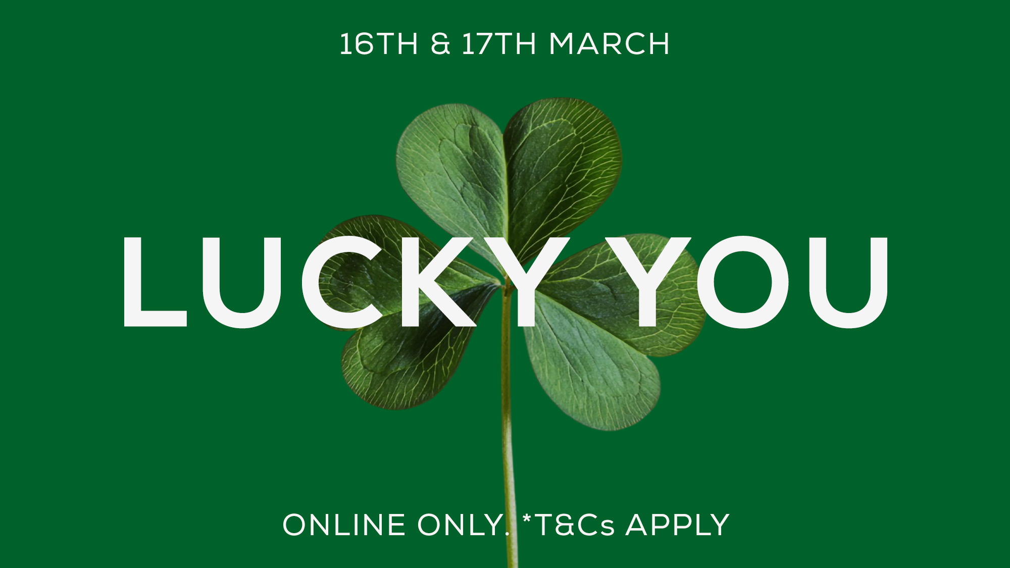 A four-leaf clover with the words 'LUCKY YOU' in white, set against a green background.'