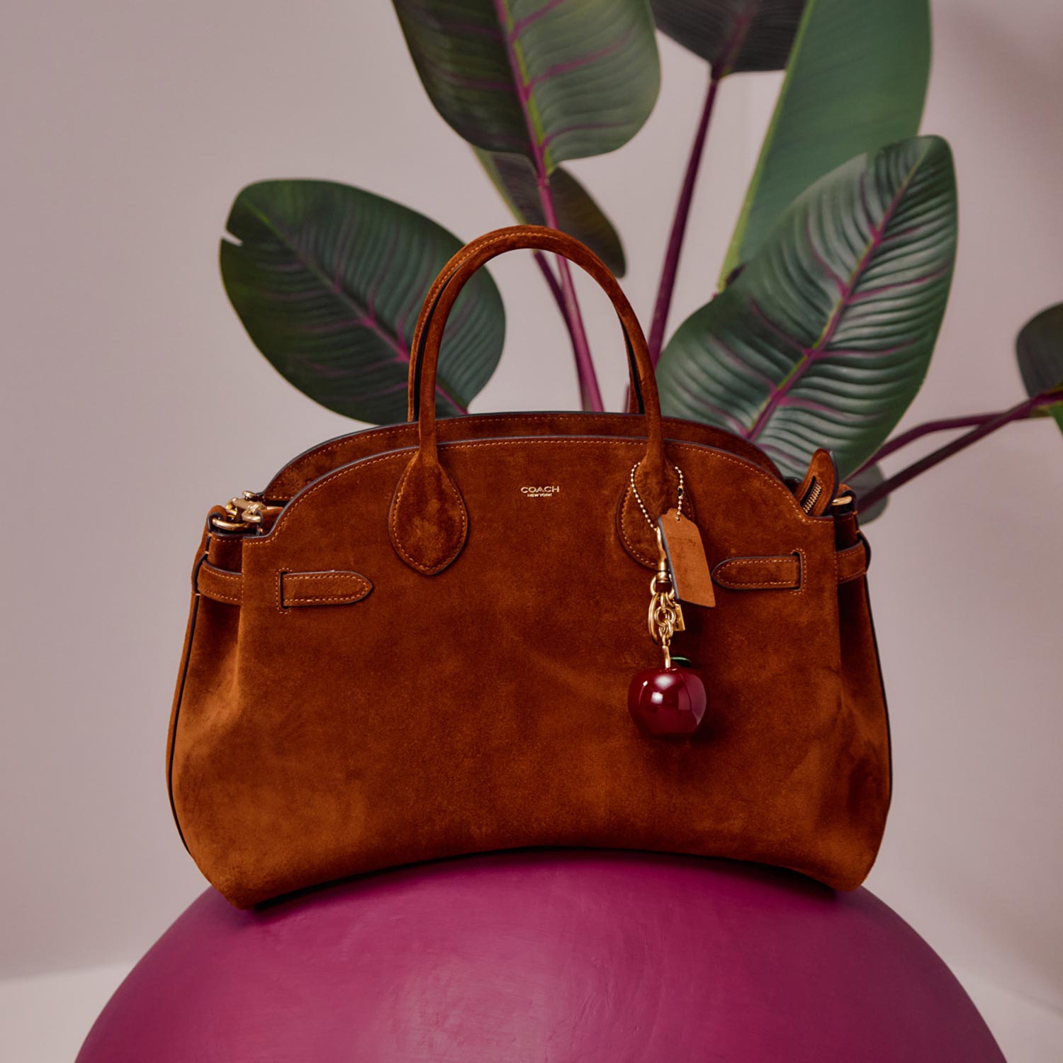 Discover Coach Discover Coach