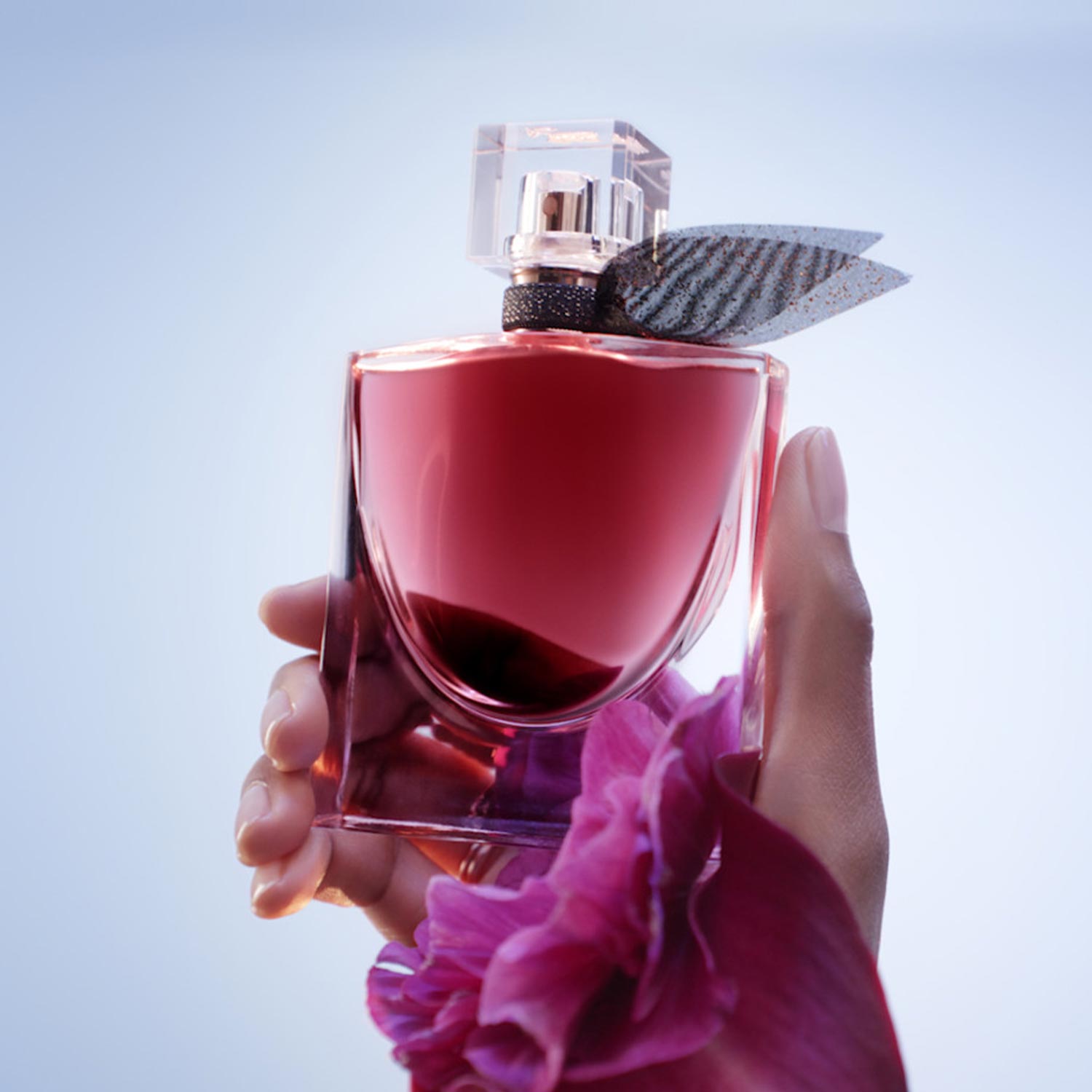Your Everyday Fragrance
