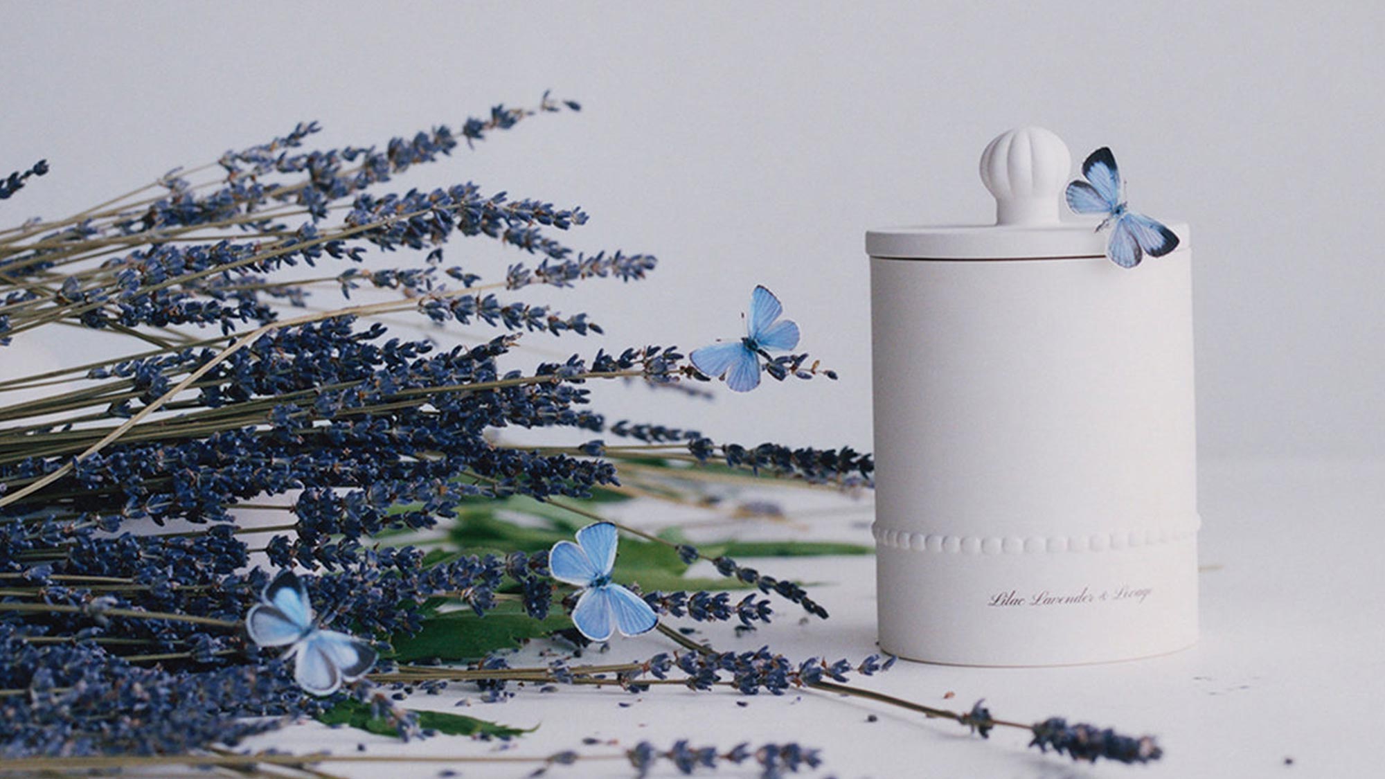 White jar with a lid, surrounded by lavender sprigs and blue butterflies on a white background.