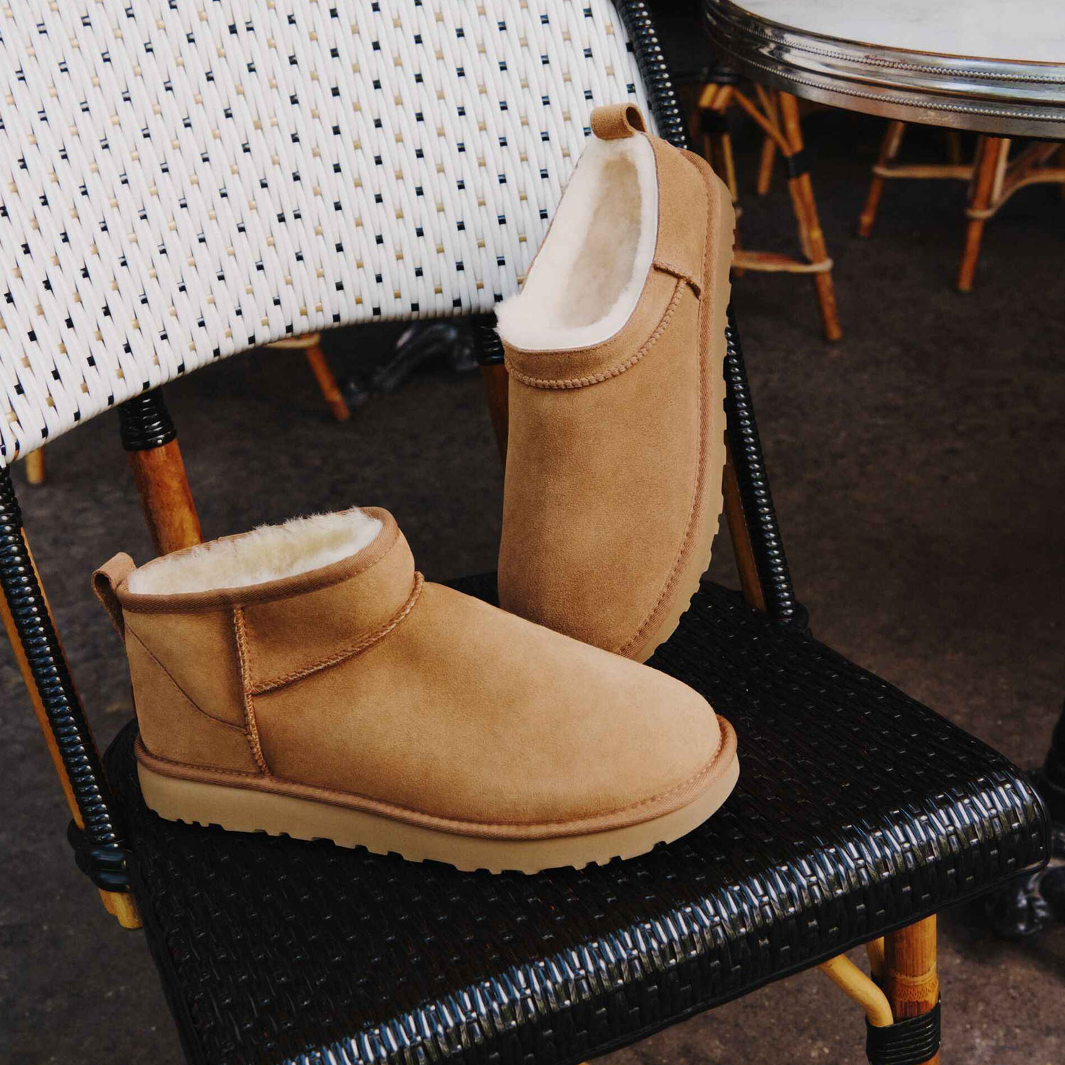 Cosy Starts Here