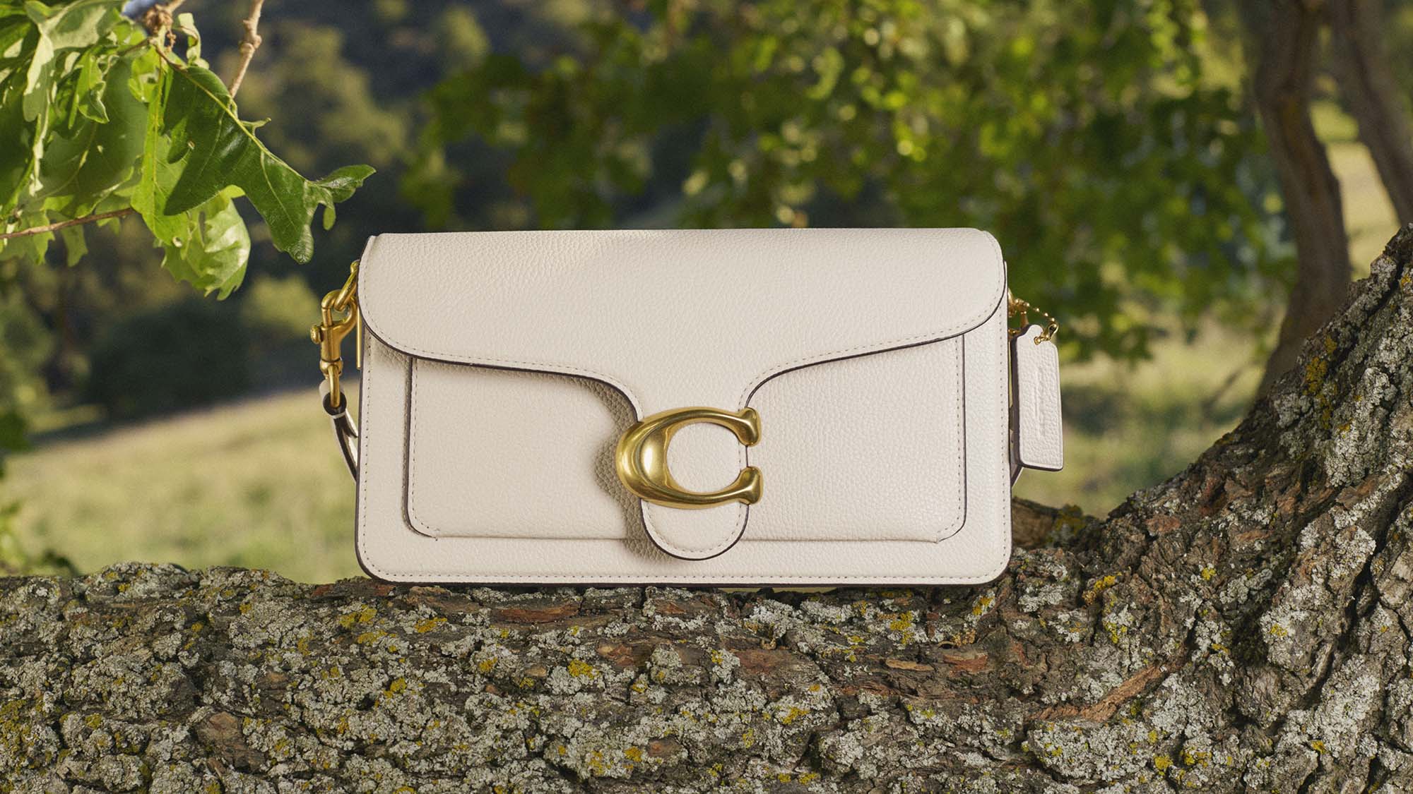 A cream-colored handbag with a gold clasp is placed on a tree branch in a natural setting.