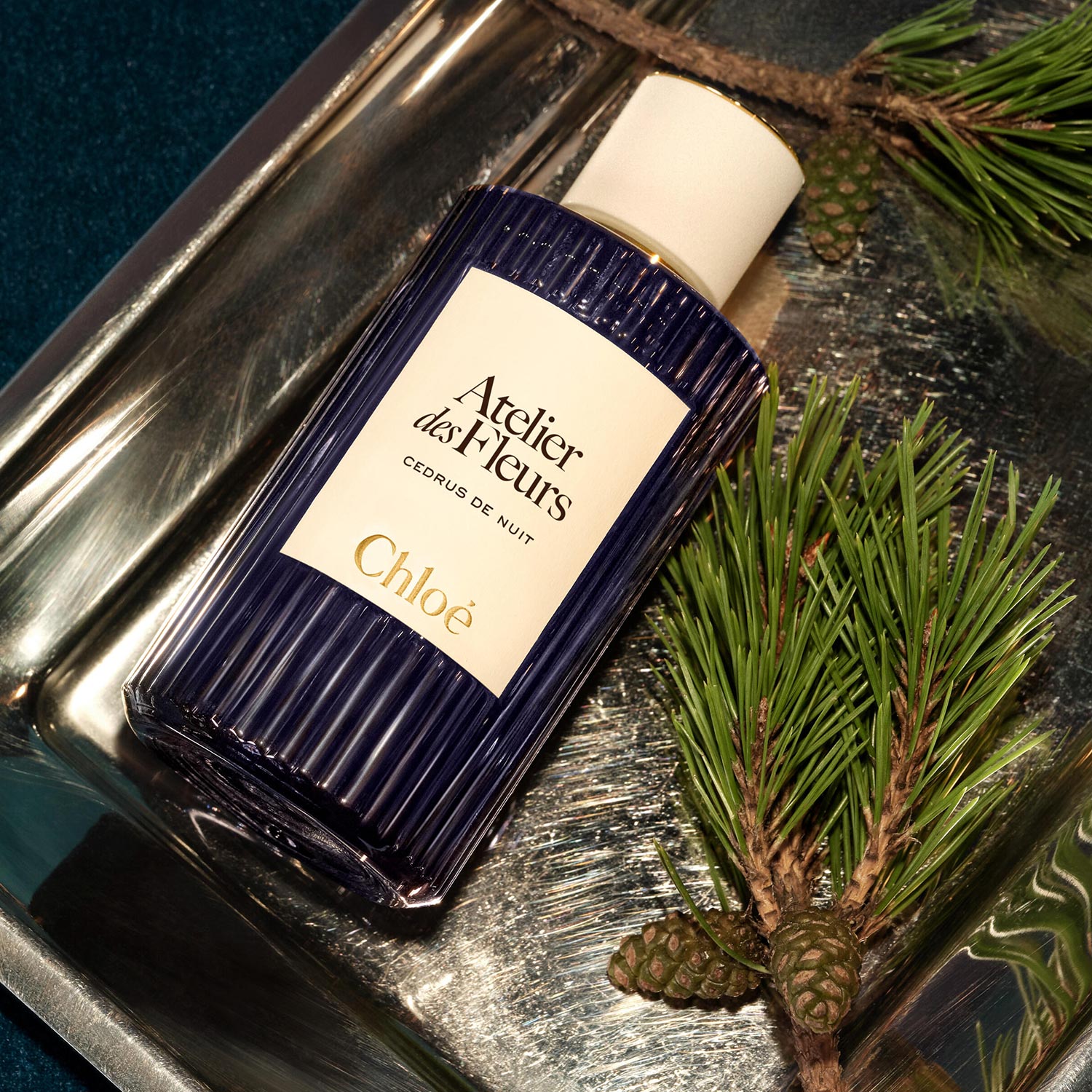 Chloe Atelier des Fleurs Cedrus de Nuit fragrance bottle in dark blue with cream label on metallic tray with evergreen sprigs