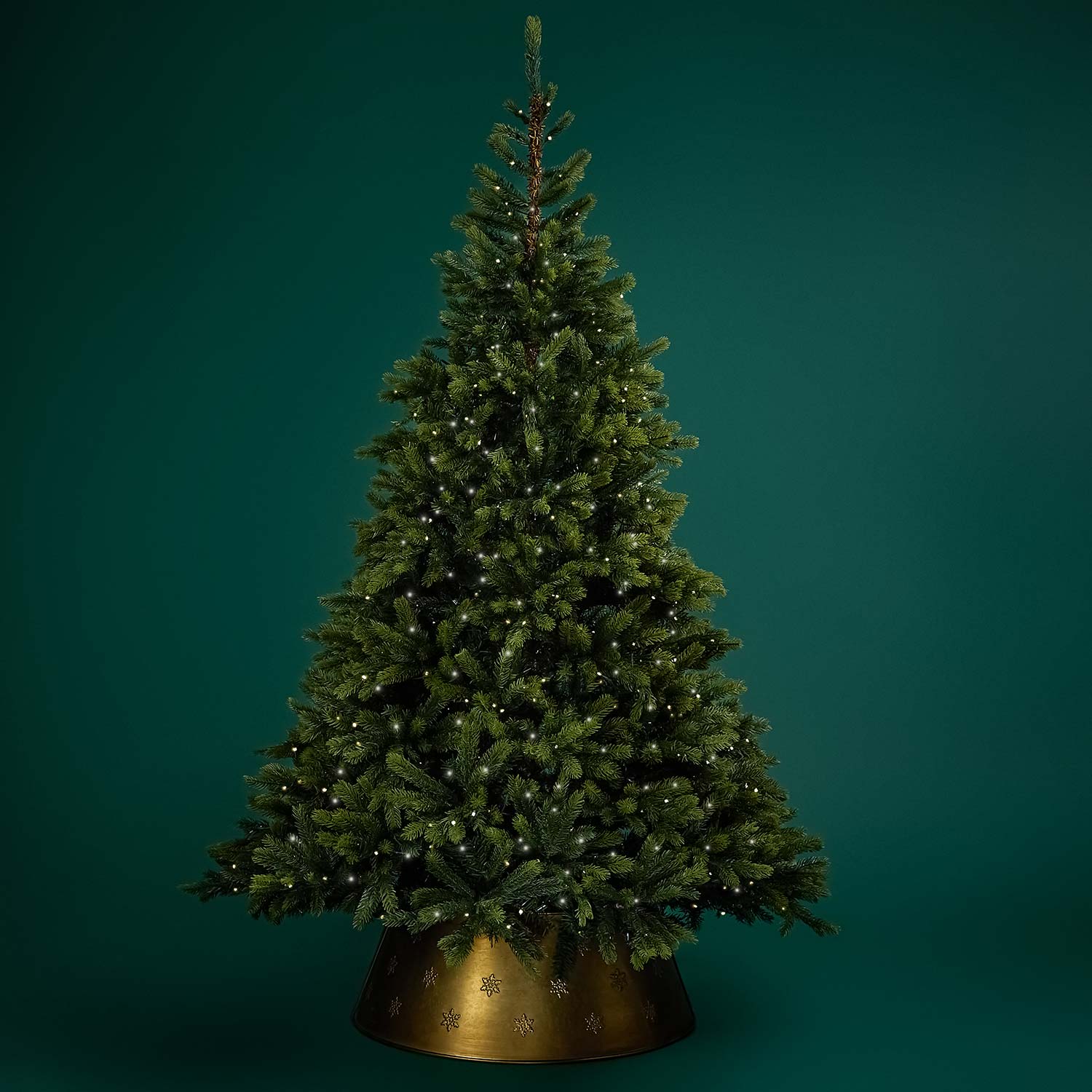 Christmas Trees
