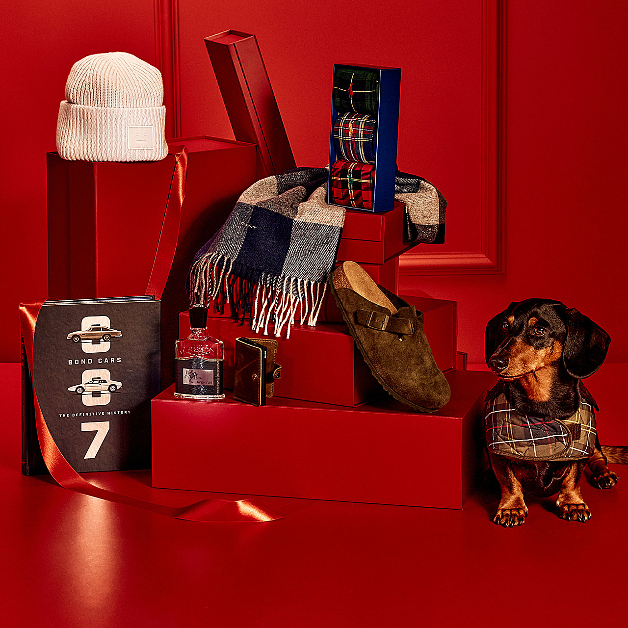 A display of gifts on a red background, featuring shoes, a scarf, a beanie, books, a bottle, and a dachshund wearing a plaid jacket.