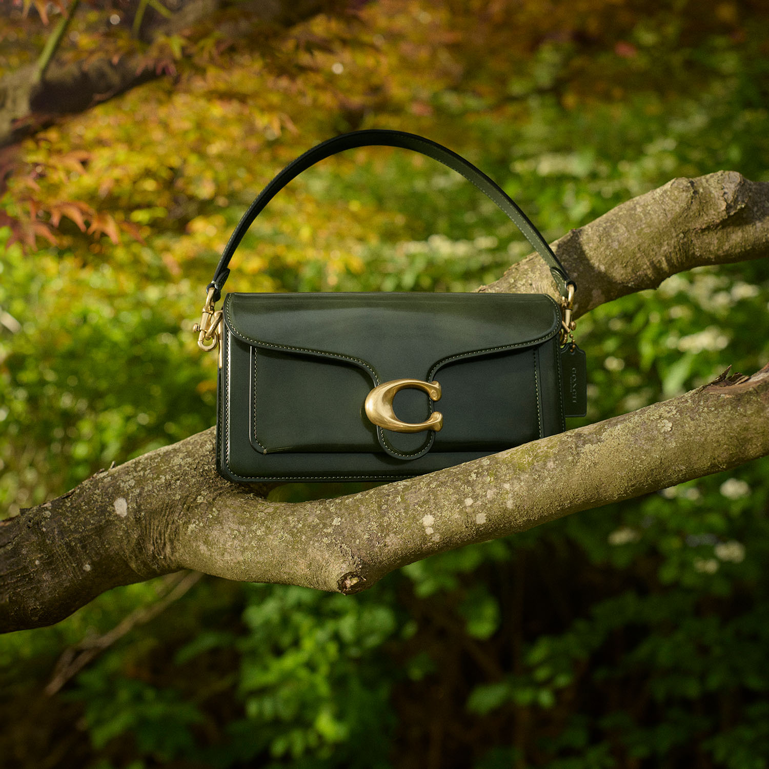 Seasonal Coach Staples