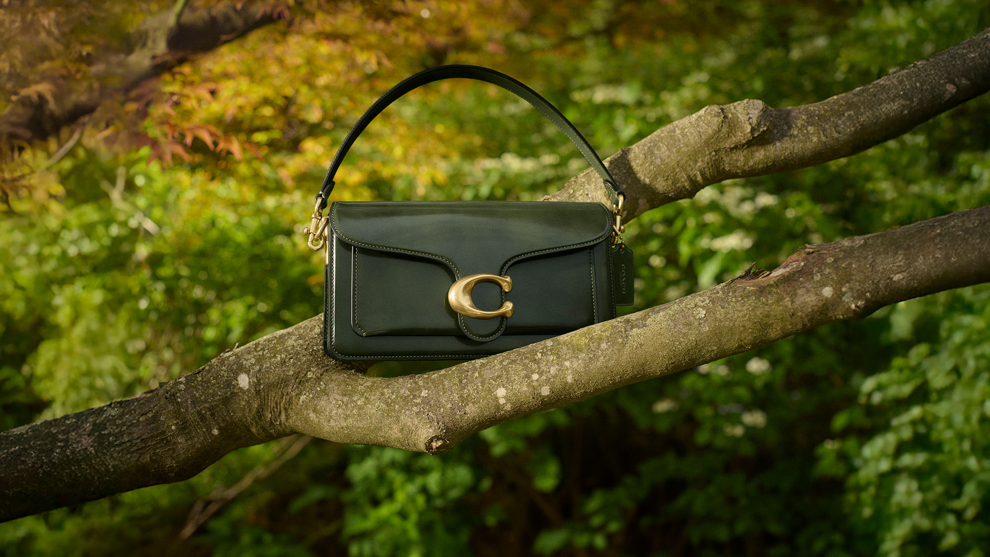 A green handbag with a gold clasp sits on a tree branch, surrounded by lush greenery and leaves.