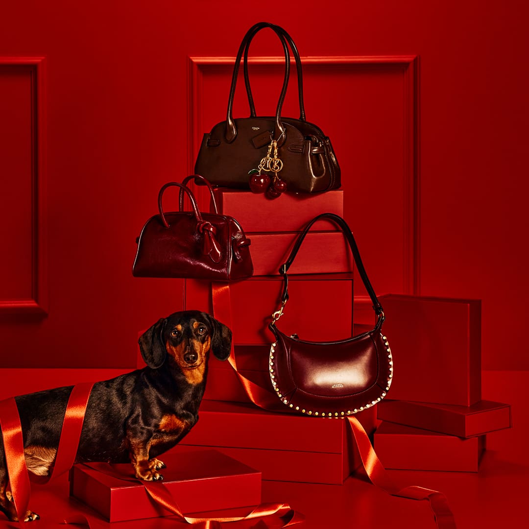 A dachshund sits among red gift boxes and purses, wrapped in red ribbon, against a red backdrop.