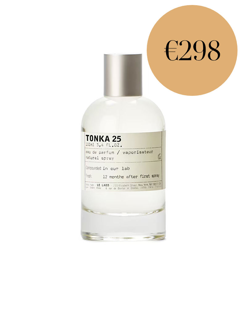 meaningful description of the image