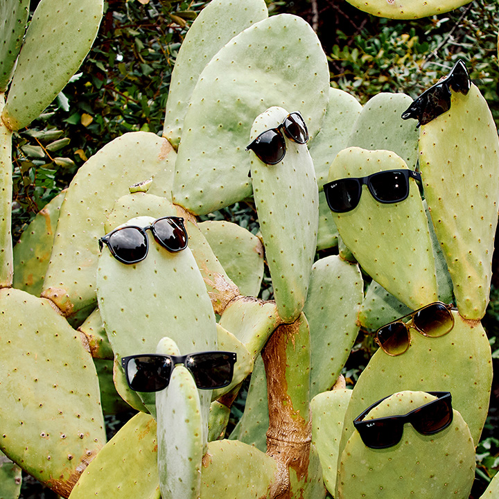 Up To 50% Off* Sunglasses