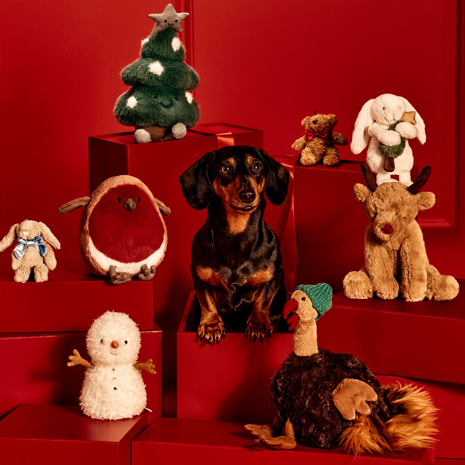 The Festive Collection