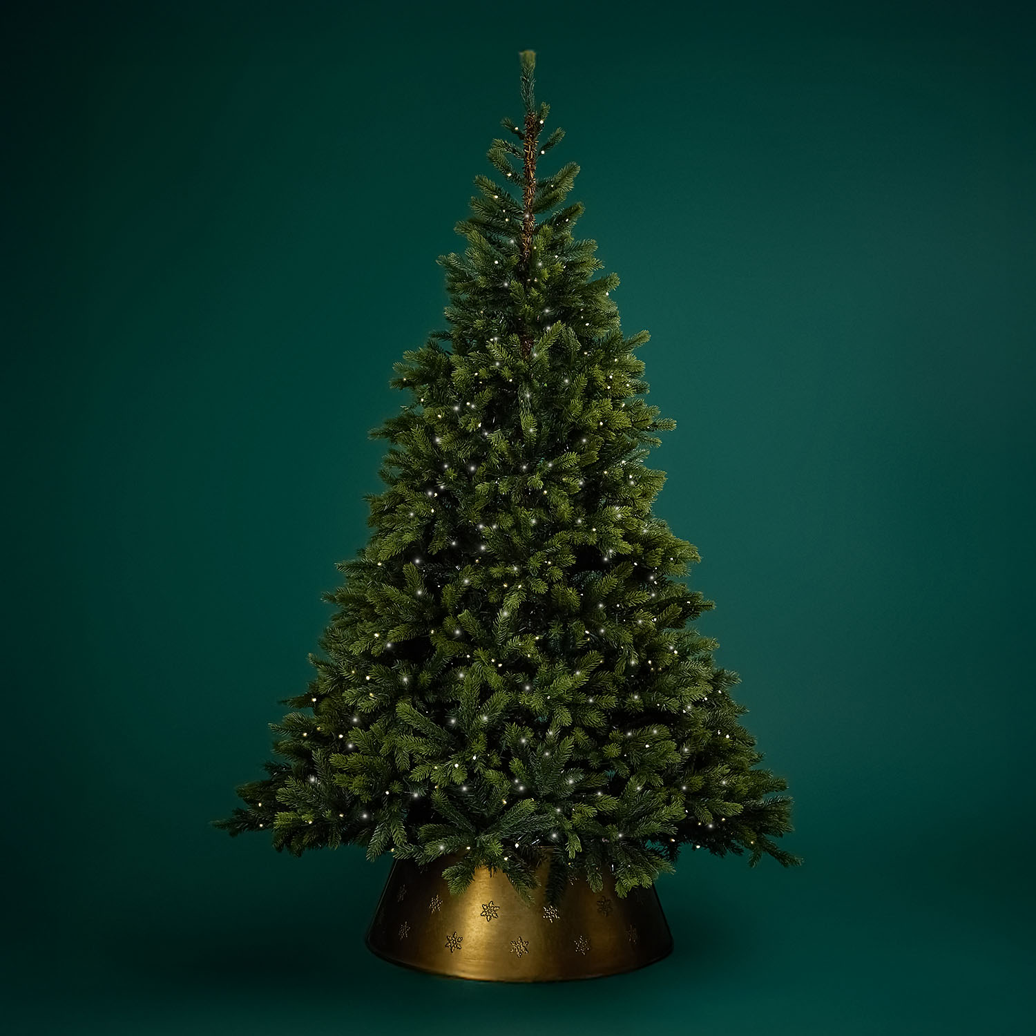 A decorated Christmas tree with small white lights in front of a dark green background, placed in a gold circular stand.