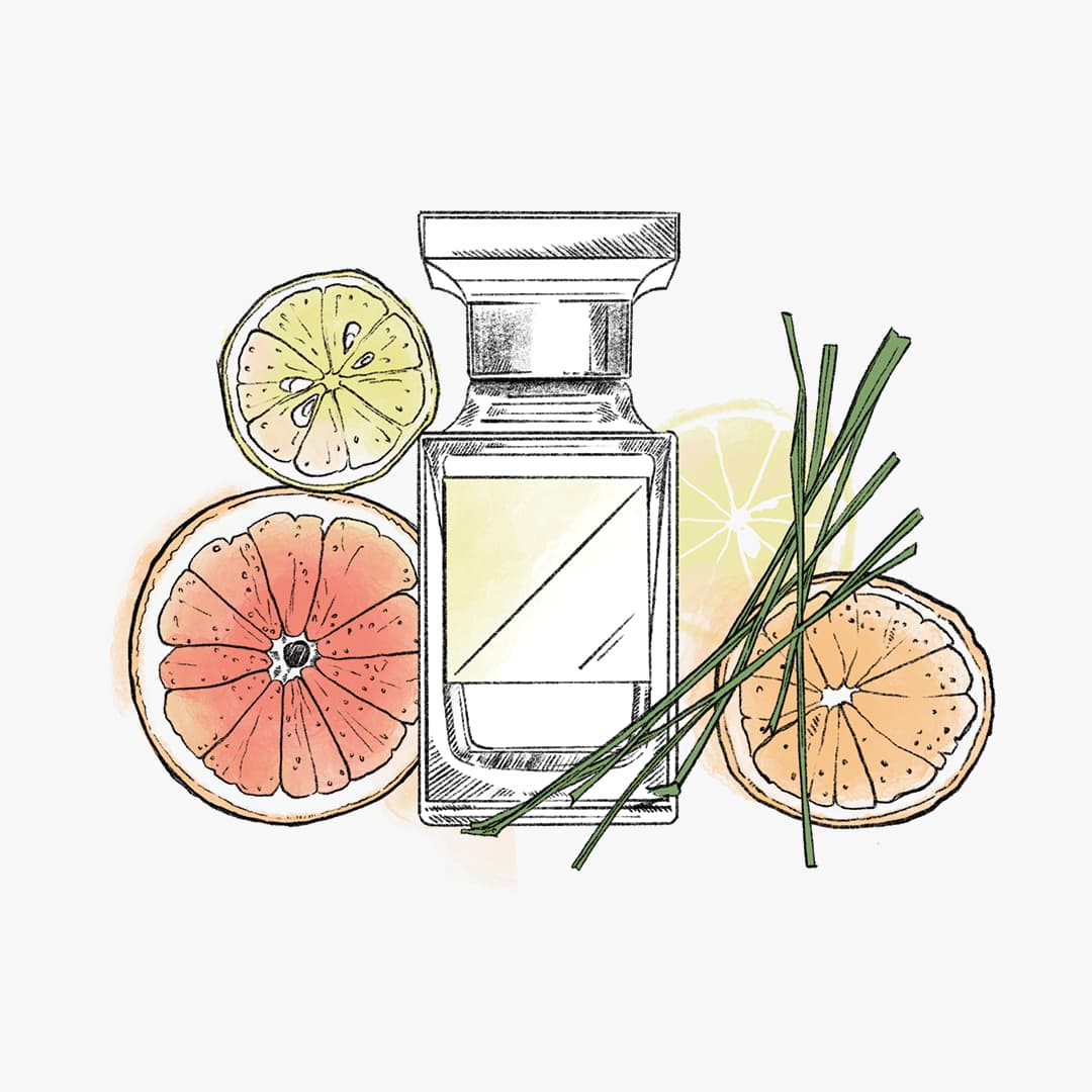 A sketched perfume bottle surrounded by citrus fruits and green leaves.